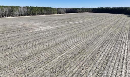 Photo #22 of SOLD property in Off Town Creek Road, Elm City, NC 108.2 acres