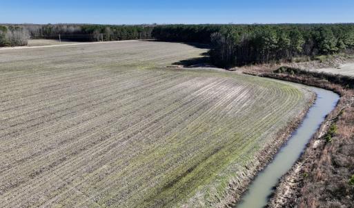 Photo #23 of SOLD property in Off Town Creek Road, Elm City, NC 108.2 acres
