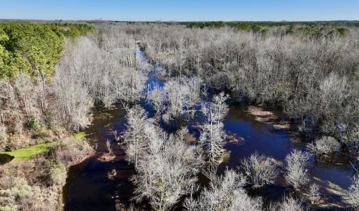 Photo #25 of SOLD property in Off Town Creek Road, Elm City, NC 108.2 acres