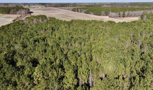 Photo #27 of SOLD property in Off Town Creek Road, Elm City, NC 108.2 acres