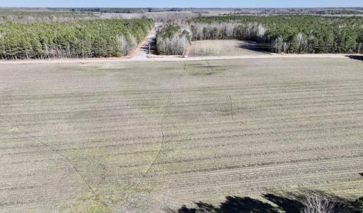 Photo #30 of SOLD property in Off Town Creek Road, Elm City, NC 108.2 acres