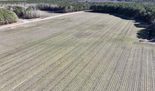 Photo #31 of SOLD property in Off Town Creek Road, Elm City, NC 108.2 acres