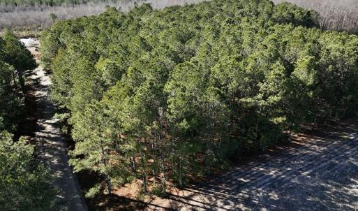 Photo #33 of SOLD property in Off Town Creek Road, Elm City, NC 108.2 acres