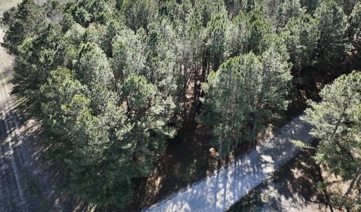 Photo #34 of SOLD property in Off Town Creek Road, Elm City, NC 108.2 acres
