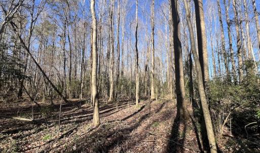 Photo #35 of SOLD property in Off Town Creek Road, Elm City, NC 108.2 acres