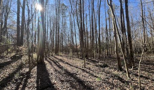 Photo #37 of SOLD property in Off Town Creek Road, Elm City, NC 108.2 acres