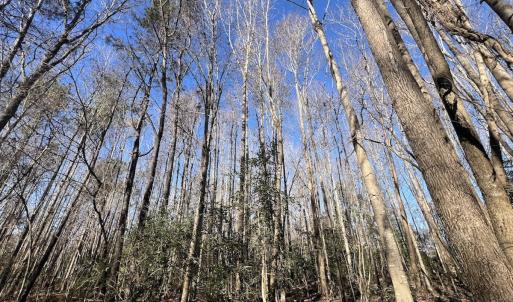 Photo #38 of SOLD property in Off Town Creek Road, Elm City, NC 108.2 acres