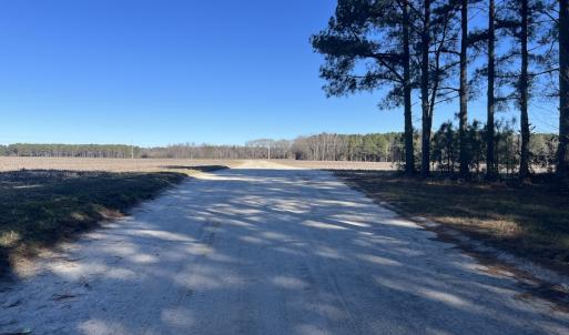 Photo #39 of SOLD property in Off Town Creek Road, Elm City, NC 108.2 acres