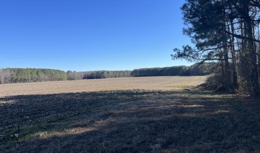 Photo #40 of SOLD property in Off Town Creek Road, Elm City, NC 108.2 acres