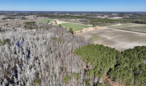 Photo #11 of SOLD property in Off Town Creek Road, Elm City, NC 26.4 acres