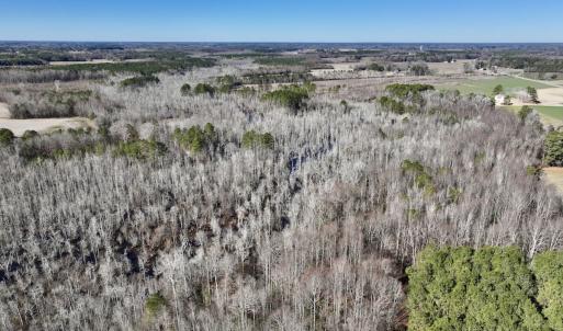 Photo #12 of SOLD property in Off Town Creek Road, Elm City, NC 26.4 acres