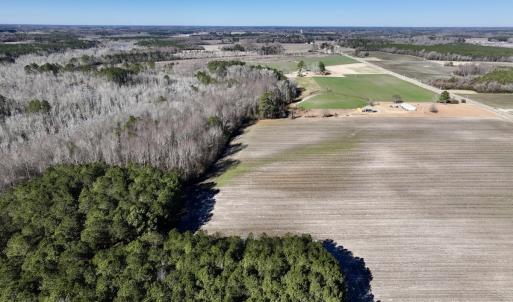 Photo #14 of SOLD property in Off Town Creek Road, Elm City, NC 26.4 acres