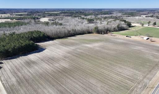 Photo #16 of SOLD property in Off Town Creek Road, Elm City, NC 26.4 acres