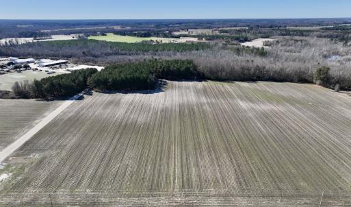 Photo #18 of SOLD property in Off Town Creek Road, Elm City, NC 26.4 acres