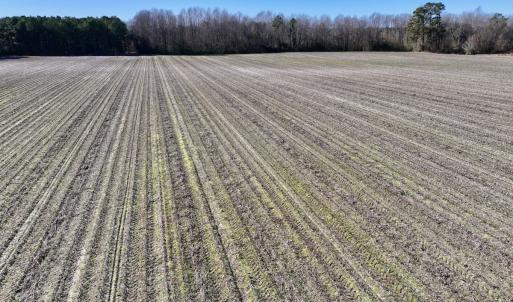 Photo #19 of SOLD property in Off Town Creek Road, Elm City, NC 26.4 acres