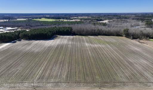 Photo #2 of SOLD property in Off Town Creek Road, Elm City, NC 26.4 acres