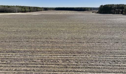 Photo #20 of SOLD property in Off Town Creek Road, Elm City, NC 26.4 acres