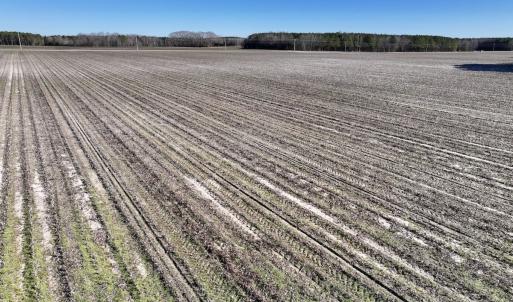 Photo #21 of SOLD property in Off Town Creek Road, Elm City, NC 26.4 acres