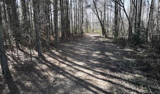 Photo #23 of SOLD property in Off Town Creek Road, Elm City, NC 26.4 acres