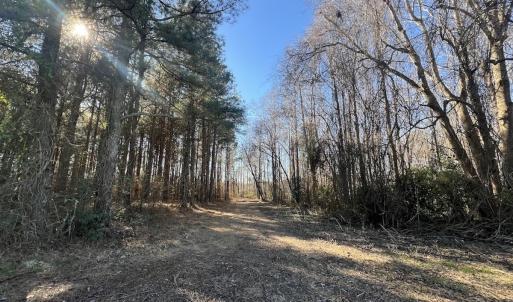Photo #25 of SOLD property in Off Town Creek Road, Elm City, NC 26.4 acres