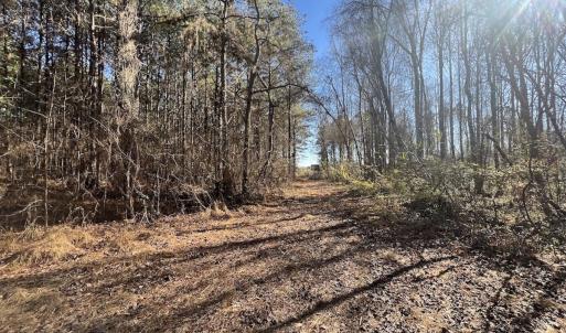 Photo #26 of SOLD property in Off Town Creek Road, Elm City, NC 26.4 acres