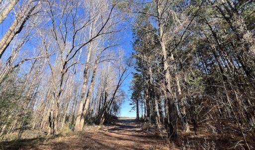 Photo #27 of SOLD property in Off Town Creek Road, Elm City, NC 26.4 acres