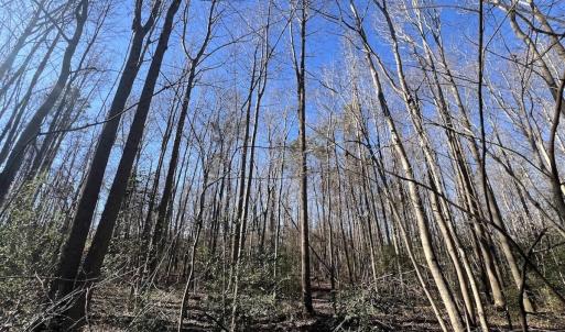 Photo #28 of SOLD property in Off Town Creek Road, Elm City, NC 26.4 acres