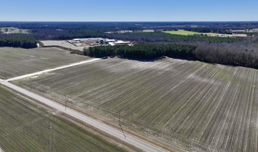 Photo #3 of SOLD property in Off Town Creek Road, Elm City, NC 26.4 acres