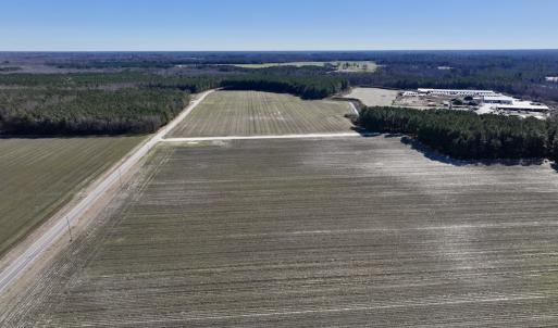 Photo #5 of SOLD property in Off Town Creek Road, Elm City, NC 26.4 acres