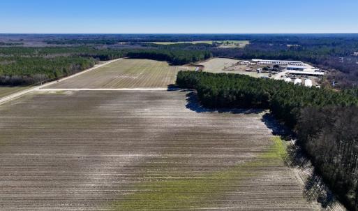 Photo #6 of SOLD property in Off Town Creek Road, Elm City, NC 26.4 acres