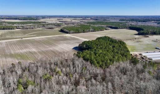 Photo #8 of SOLD property in Off Town Creek Road, Elm City, NC 26.4 acres