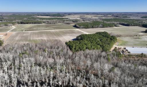Photo #9 of SOLD property in Off Town Creek Road, Elm City, NC 26.4 acres