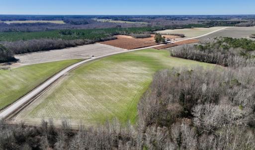 Photo #10 of SOLD property in Off Orchard Road, Elm City, NC 49.0 acres