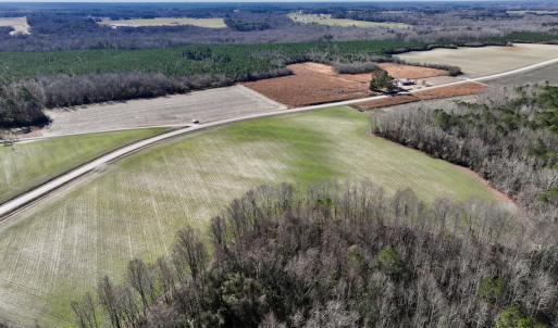 Photo #11 of SOLD property in Off Orchard Road, Elm City, NC 49.0 acres