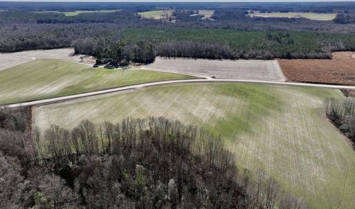 Photo #12 of SOLD property in Off Orchard Road, Elm City, NC 49.0 acres