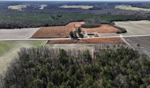 Photo #14 of SOLD property in Off Orchard Road, Elm City, NC 49.0 acres