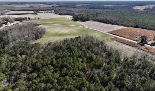 Photo #15 of SOLD property in Off Orchard Road, Elm City, NC 49.0 acres