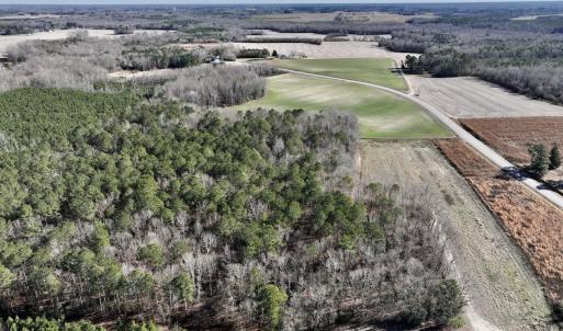 Photo #16 of SOLD property in Off Orchard Road, Elm City, NC 49.0 acres