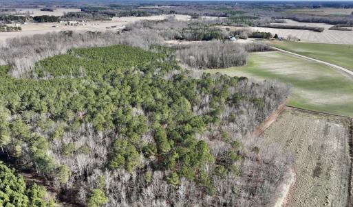 Photo #17 of SOLD property in Off Orchard Road, Elm City, NC 49.0 acres