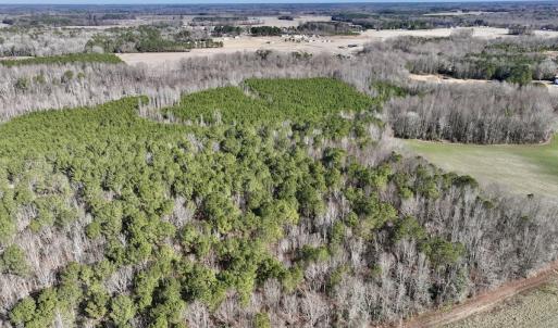 Photo #18 of SOLD property in Off Orchard Road, Elm City, NC 49.0 acres