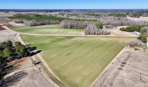 Photo #5 of SOLD property in Off Orchard Road, Elm City, NC 49.0 acres