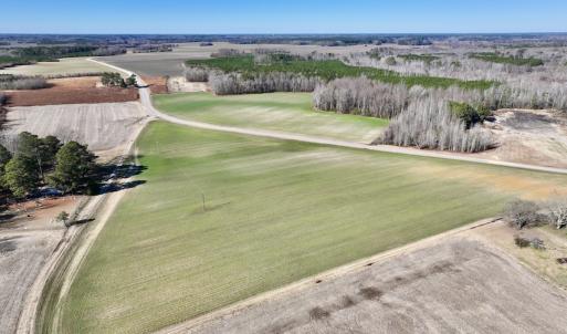 Photo #6 of SOLD property in Off Orchard Road, Elm City, NC 49.0 acres