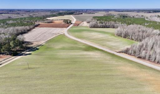 Photo #7 of SOLD property in Off Orchard Road, Elm City, NC 49.0 acres