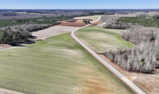 Photo #8 of SOLD property in Off Orchard Road, Elm City, NC 49.0 acres