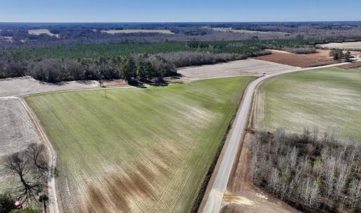 Photo #9 of SOLD property in Off Orchard Road, Elm City, NC 49.0 acres