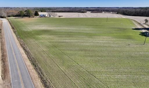 Photo #24 of SOLD property in Off Orchard Road, Elm City, NC 49.0 acres