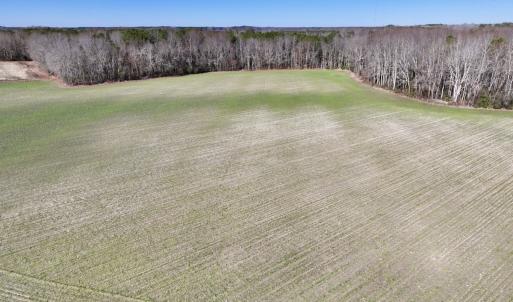 Photo #26 of SOLD property in Off Orchard Road, Elm City, NC 49.0 acres