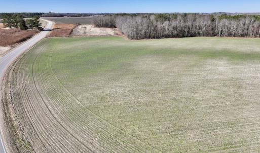 Photo #27 of SOLD property in Off Orchard Road, Elm City, NC 49.0 acres