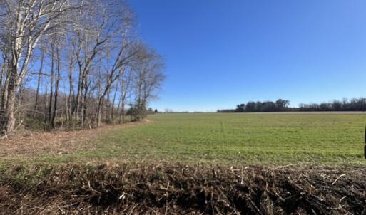Photo #28 of SOLD property in Off Orchard Road, Elm City, NC 49.0 acres