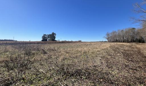 Photo #29 of SOLD property in Off Orchard Road, Elm City, NC 49.0 acres